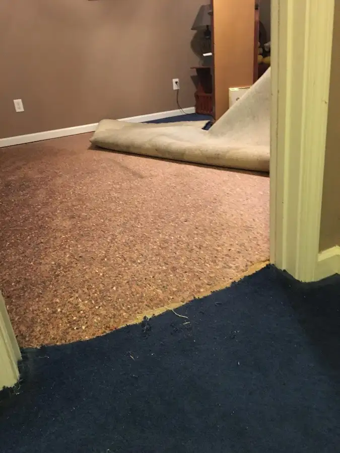 Carpet pad removal revealing water damage during Water Mitigation Services in Columbus
