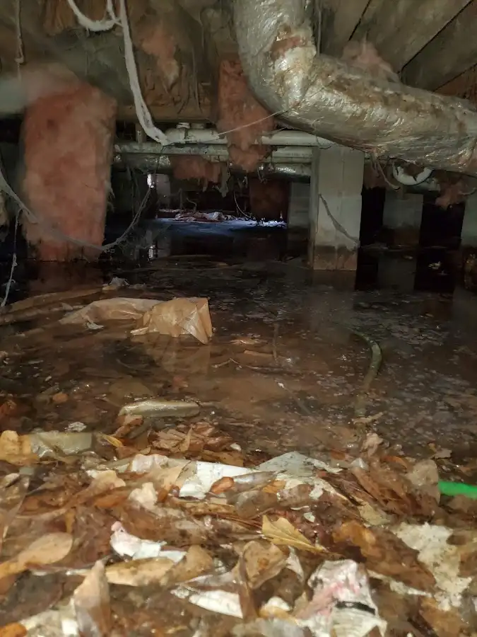 Crawl space flood assessment for Leak Detection & Repair in Columbus